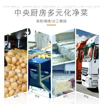 小型凈菜加工流水線(xiàn)中央廚房?jì)舨思庸ち鞒虄舨思庸ち魉€(xiàn)設備