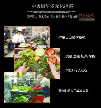 小型凈菜加工流水線(xiàn)預制菜前處理設備凈菜加工流水線(xiàn)是怎樣的呢