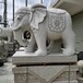 福建石雕大象厂家汉白玉石雕大象别墅庭院门口装饰石雕动物造型美观