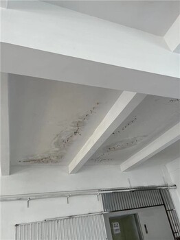 龍崗正規屋面防水補漏施工