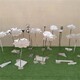 室內(nèi)不銹鋼荷花雕塑圖