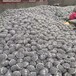悬浮球形填料球形悬浮填料价格多孔球型悬浮填料
