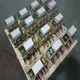 dt濾波器圖