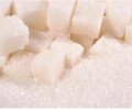 來賓長期收購白糖配額