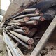 帶皮電力電纜回收圖
