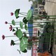 曲陽不銹鋼荷花雕塑圖