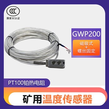 溫度傳感器皮帶測溫器Pt100