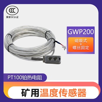 温度传感器gwp200温度测量仪小巧轻便