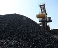 鄭州大量收購動力煤