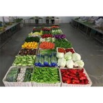 观澜农副产品批发食堂蔬菜配送公司欢迎来电议价