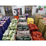 狮岭镇农副产品批发食堂蔬菜配送公司欢迎来电议价