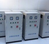 上海水箱臭氧消毒器价格WTS-2W