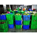 清远农副产品批发食堂蔬菜配送公司电话欢迎来电议价