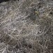 廣東南山有沒有銀廢料回收多少錢一噸,含銀廢料回收