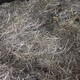 銀廢料回收圖