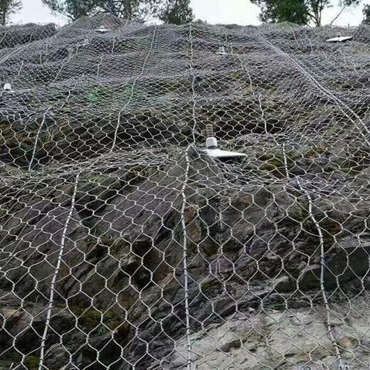 重庆生产钢丝绳加筋网多少钱一平方