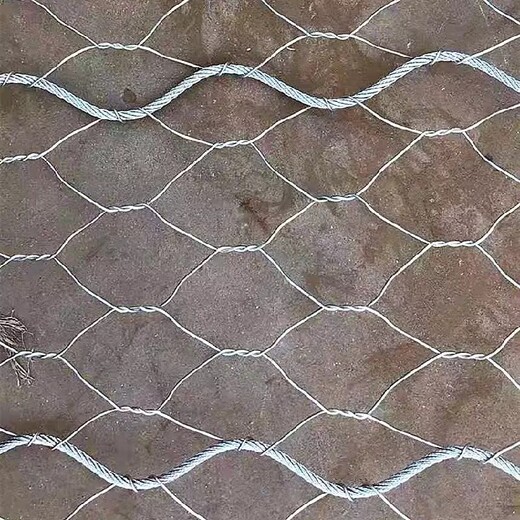 上海钢丝绳加筋网现货供应