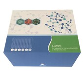 牛皮质醇(Cortisol)ELISA试剂盒