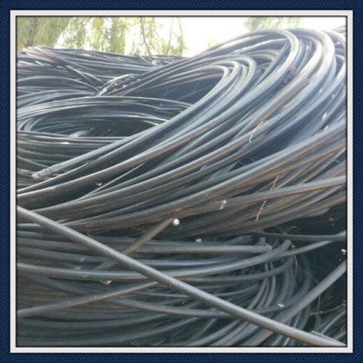 广州海珠区旧电缆回收/设备电缆回收批发