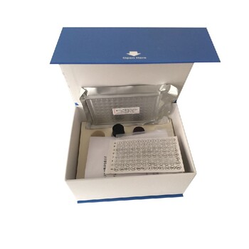 人白介素1β(IL-1β)ELISA试剂盒