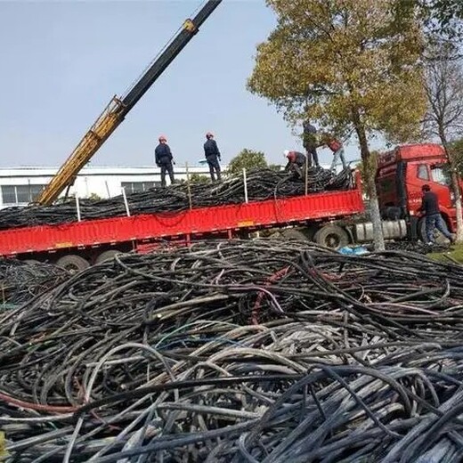 广州从化淘汰电缆回收/单芯电缆回收厂家电话