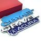 天津荧光金属车标材质，定做设计制作金属车标产品图
