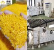 泰诺70型黄金米挤压制粒机器富硒黄金米全自动生产设备粗粮细做