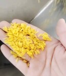 东北黄金米生产线泰诺挤压人造大米加工全套设备时产200公斤