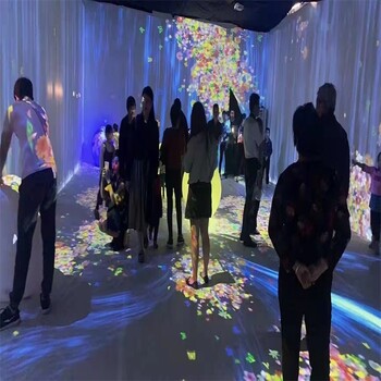 杭州全息投影光影展廠家價格