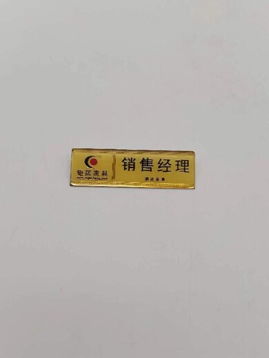 上海异形胸牌哪里定做，厂家定做合金材质校徽胸牌定制