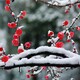 制作水泥仿真梅花樹雕塑聯(lián)系方式,水泥仿真梅花樹雕塑報(bào)價(jià)圖