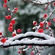 水泥仿真梅花树雕塑使用寿命,销售水泥仿真梅花树雕塑厂家图