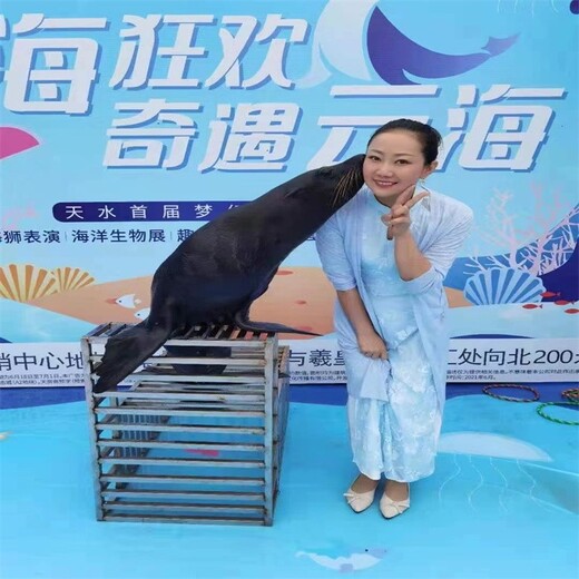 贵州海洋展览海狮表演租赁价格