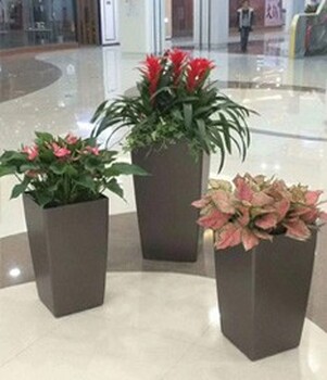 科技園區(qū)綠植租賃報價,北京植物出租公司