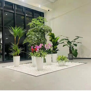 朝陽區(qū)勝古綠植租賃費(fèi)用,北京花草植物出租