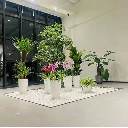 田村绿植租赁收费标准,北京花草植物出租