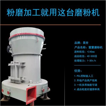 雷蒙磨厂家腐殖酸粉磨设备10t/h雷蒙机满足不同产能段需要40-500目任调