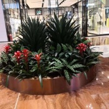 太平橋辦公室綠植租擺收費標準,花草植物出租
