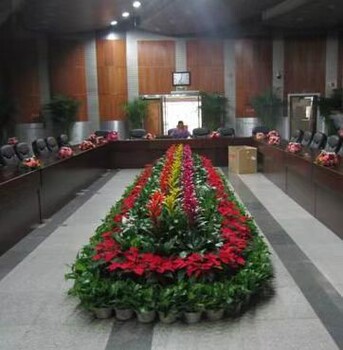 广渠门办公室绿植租摆电话,北京植物出租公司