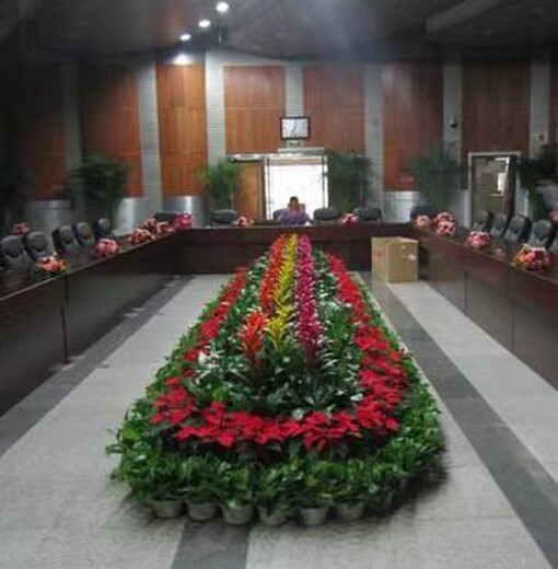 三里河办公室绿植租摆报价,园林绿化室内花卉植物出租