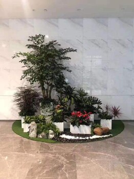 豐益橋辦公室綠植租擺報(bào)價(jià),辦公室內(nèi)花草租擺