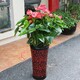 西城辦公室綠植租賃圖