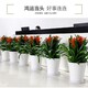 大兴绿植租赁报价图