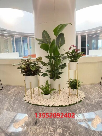 南礼士路办公室绿植租摆收费标准,北京办公室花卉租摆