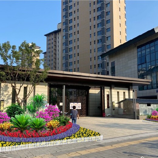 七里莊辦公室綠植租擺,辦公室內(nèi)花草租擺