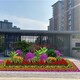 北京辦公室花木出租圖