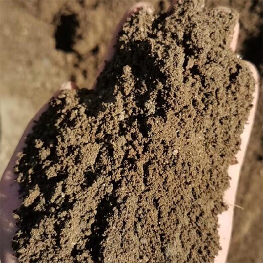 通州蚯蚓土附近哪賣