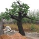 定制水泥榕树造景多少钱一个,制作水泥榕树造景使用寿命产品图
