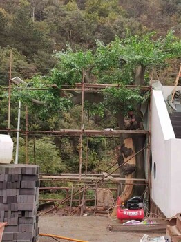 銷(xiāo)售水泥榕樹(shù)造景施工方式,設(shè)計(jì)水泥榕樹(shù)造景供應(yīng)商