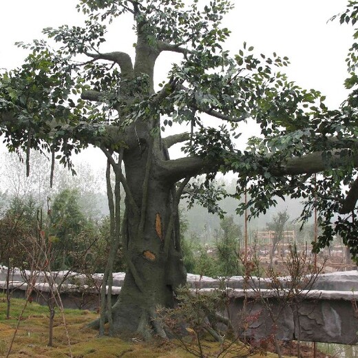 水泥榕树造景厂家,不锈钢梅花树雕塑